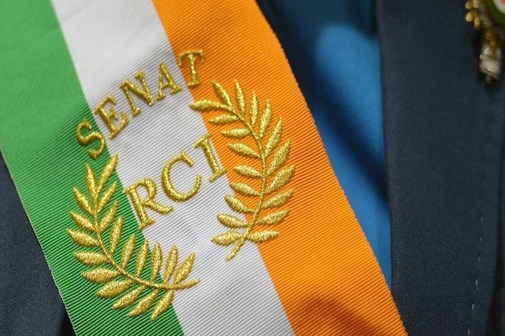 Article : De la d&eacute;ficience de notre parlement